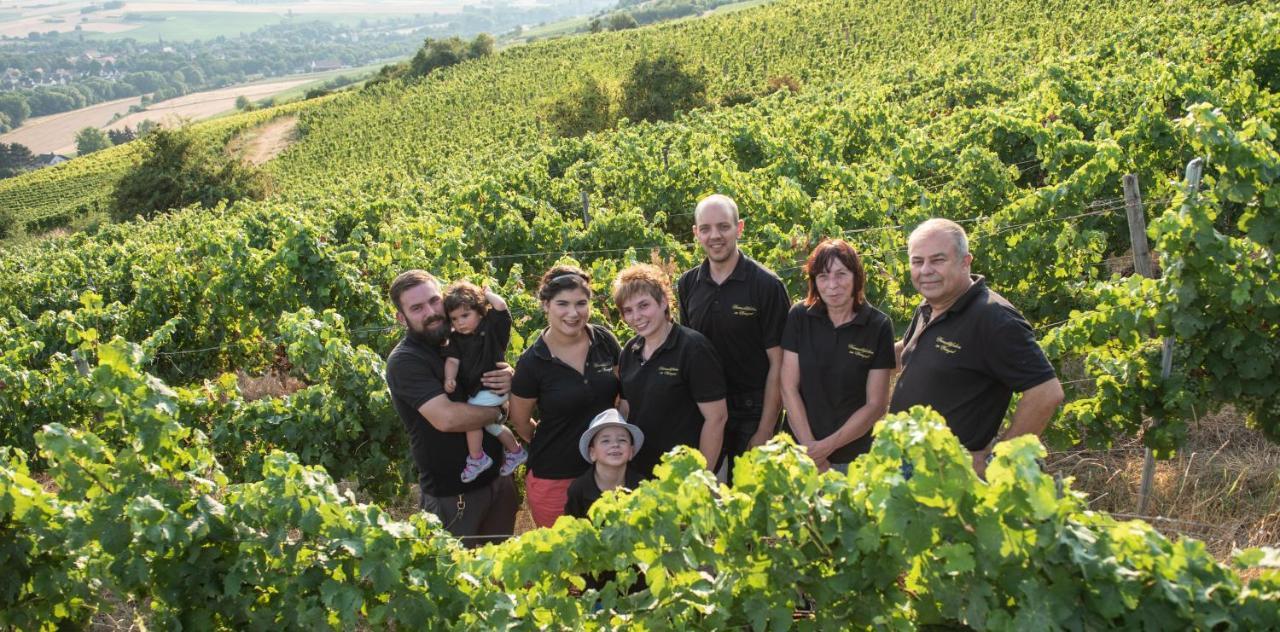 فندق Weinschloesschen Im Weingut Roos Ilbesheim المظهر الخارجي الصورة
